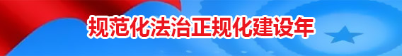 规范化法治化正规化建设年