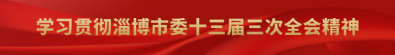 学习贯彻淄博市委十三届三次全会精神